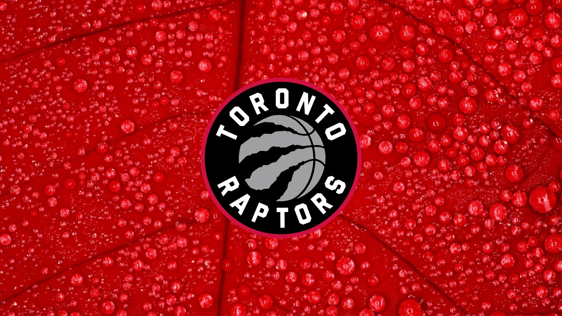 Toronto Raptors HD Wallpapers with image dimensions 1920x1080 pixel. You can make this wallpaper for your Desktop Computer Backgrounds, Windows or Mac Screensavers, iPhone Lock screen, Tablet or Android and another Mobile Phone device