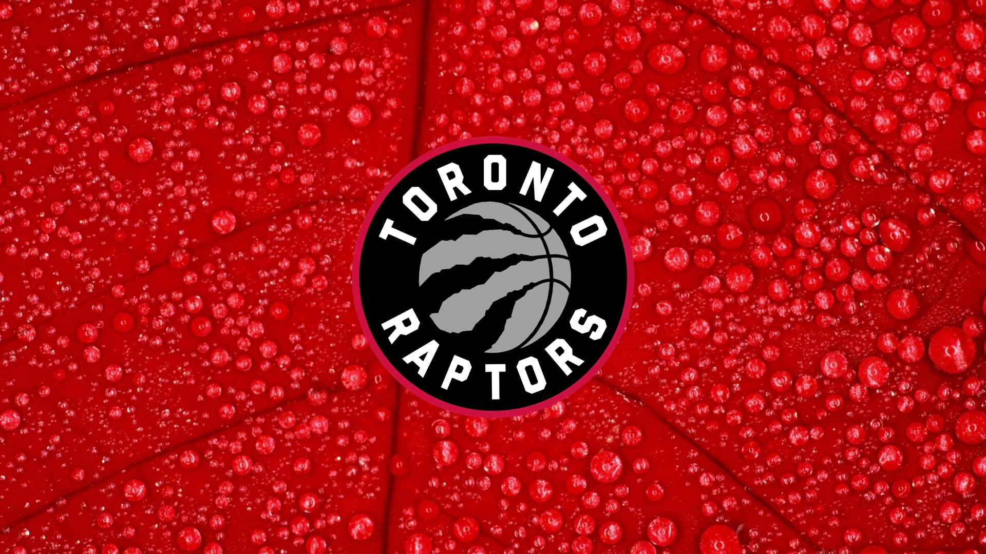 Toronto Raptors HD Wallpapers | 2021 Basketball Wallpaper