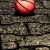 Basketball Wallpaper iPhone HD