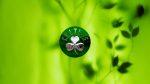 Boston Celtics Logo HD Wallpapers