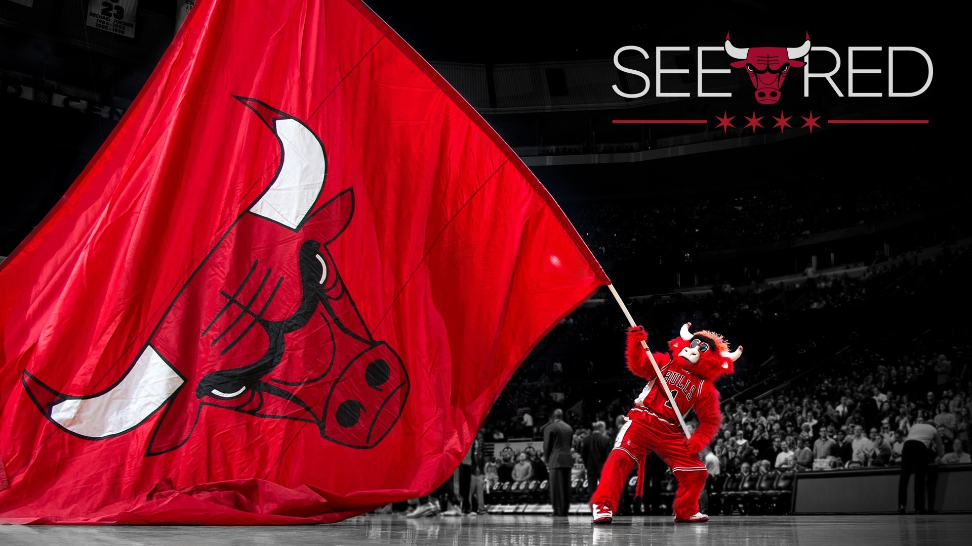 Wallpapers Chicago Bulls with high-resolution 1920x1080 pixel. You can use this wallpaper for your Desktop Computer Backgrounds, Windows or Mac Screensavers, iPhone Lock screen, Tablet or Android and another Mobile Phone device