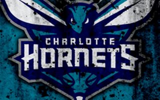 Wallpaper Charlotte Hornets iPhone With high-resolution 1080X1920 pixel. You can use this wallpaper for your Desktop Computer Backgrounds, Windows or Mac Screensavers, iPhone Lock screen, Tablet or Android and another Mobile Phone device
